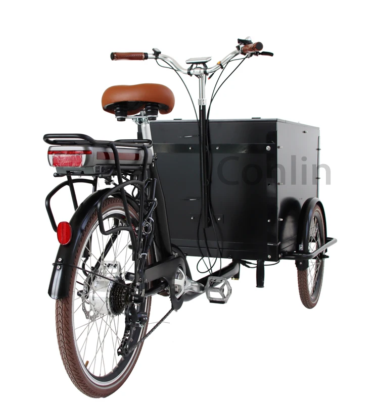 Commercial Closed Cabin Cargo Tricycle Bike Tricycle Family Cargo Bike China Bakfiets Electric Cargo Bike