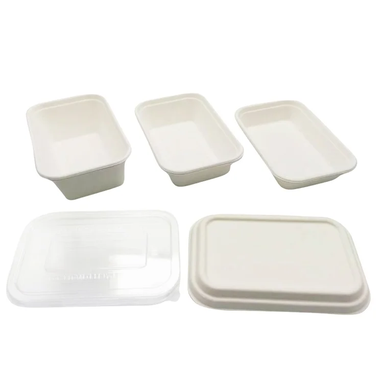 Wholesale Food Takeout Box Sugarcane Bagasse Food Containers Ecofriendly Disposable Containers with Lids for Food