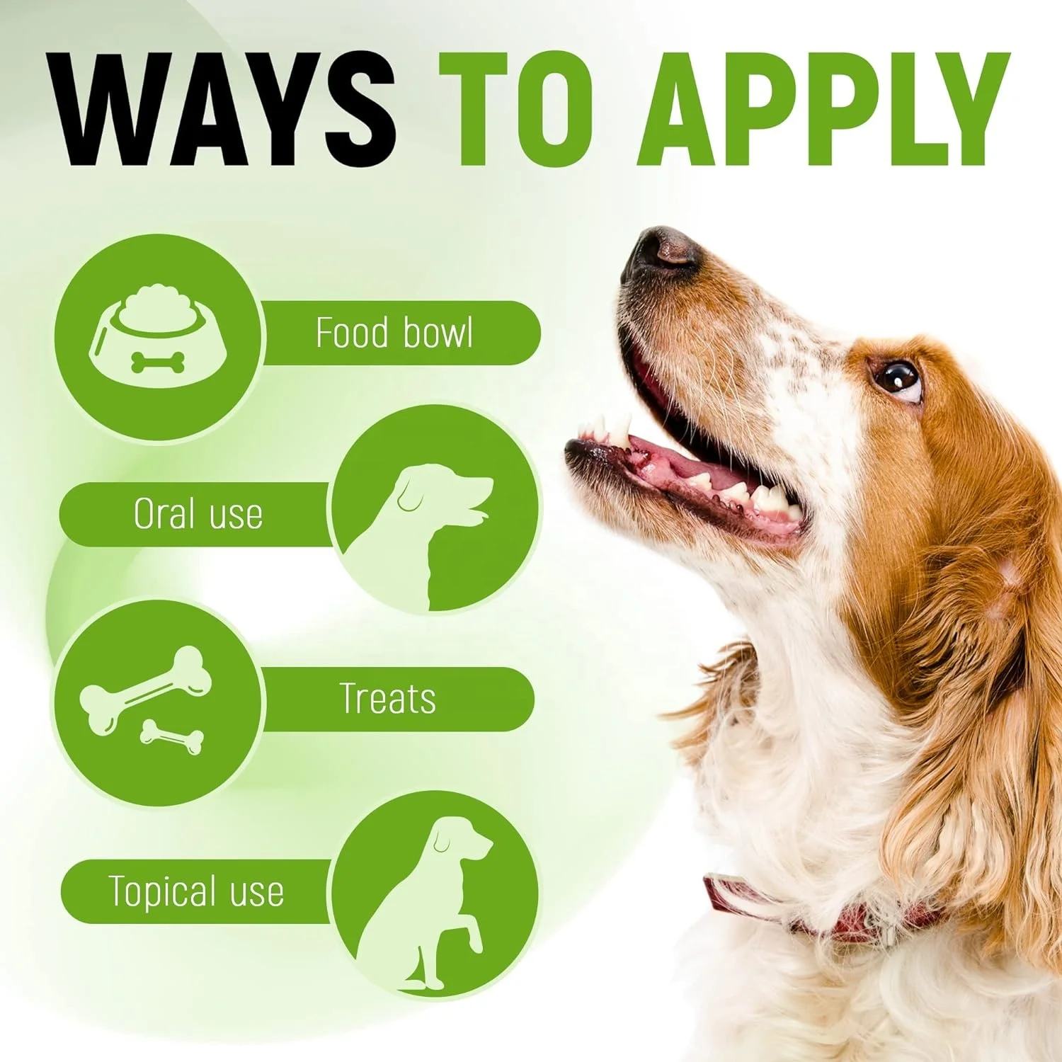 Probiotics for Dogs and Cat Probiotics-Natural Digestive Enzymes for Gas Relief and Healthy Digestion