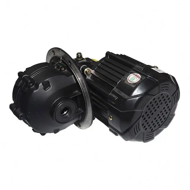 Motor Kit Electric Bike 1000 Watt Hub 800W Electricdirtbikemotor Scooter Qs 17 Inch Dc Motorcycleelectricmotors