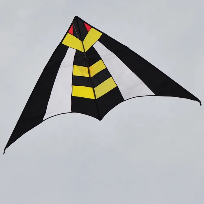 2021 hot sale easy flying outdoor delta kite with cheap price