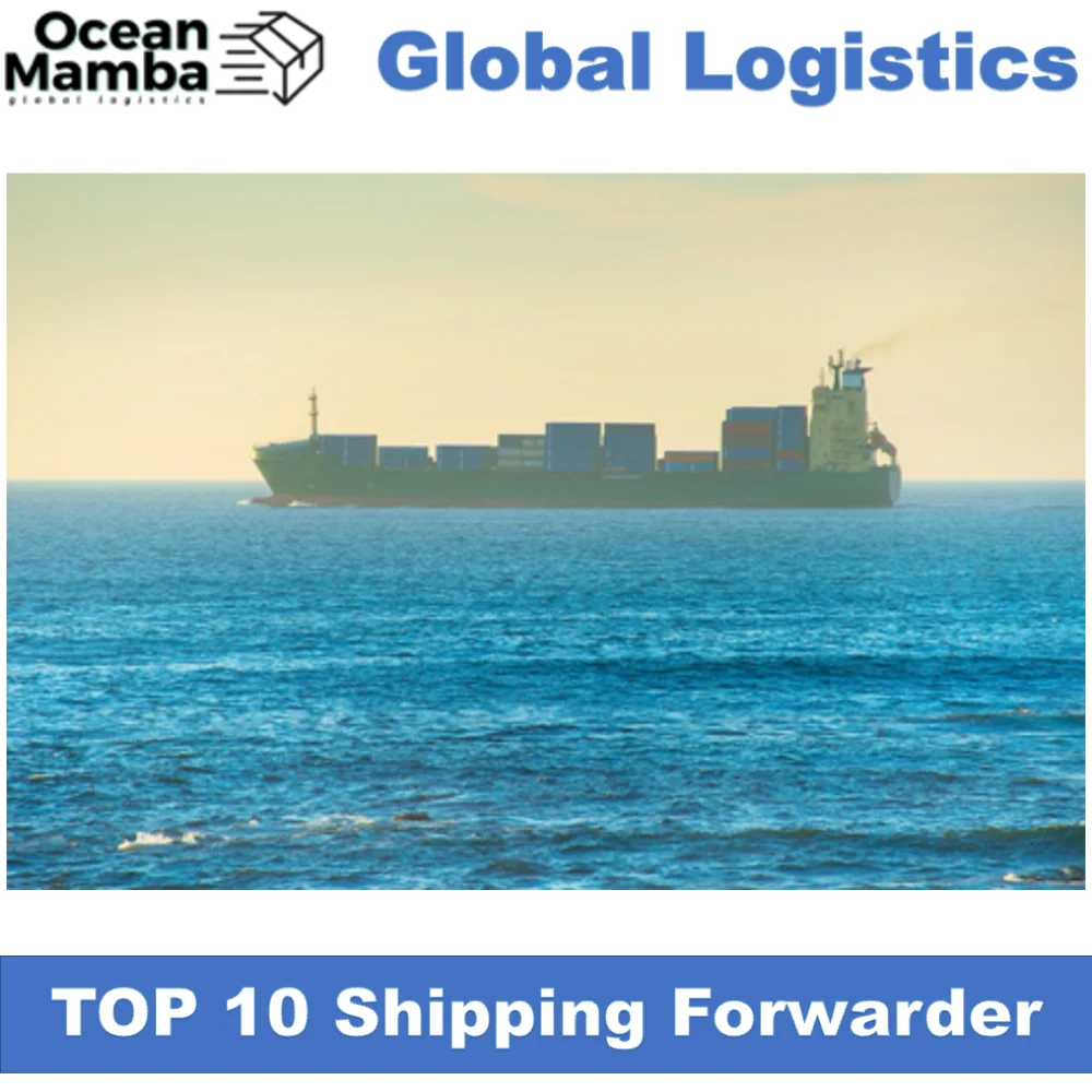 Ocean Mamba Canada Qatar south Africa Poland India shipping agent transporting cheapest international shipping