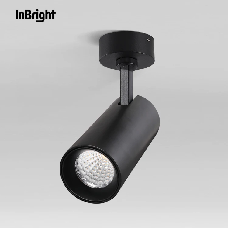 Вращающийся светодиодный потолочный светильник для отеля Dali dimmable 12w 20w 36w IP20 COB Led downlight