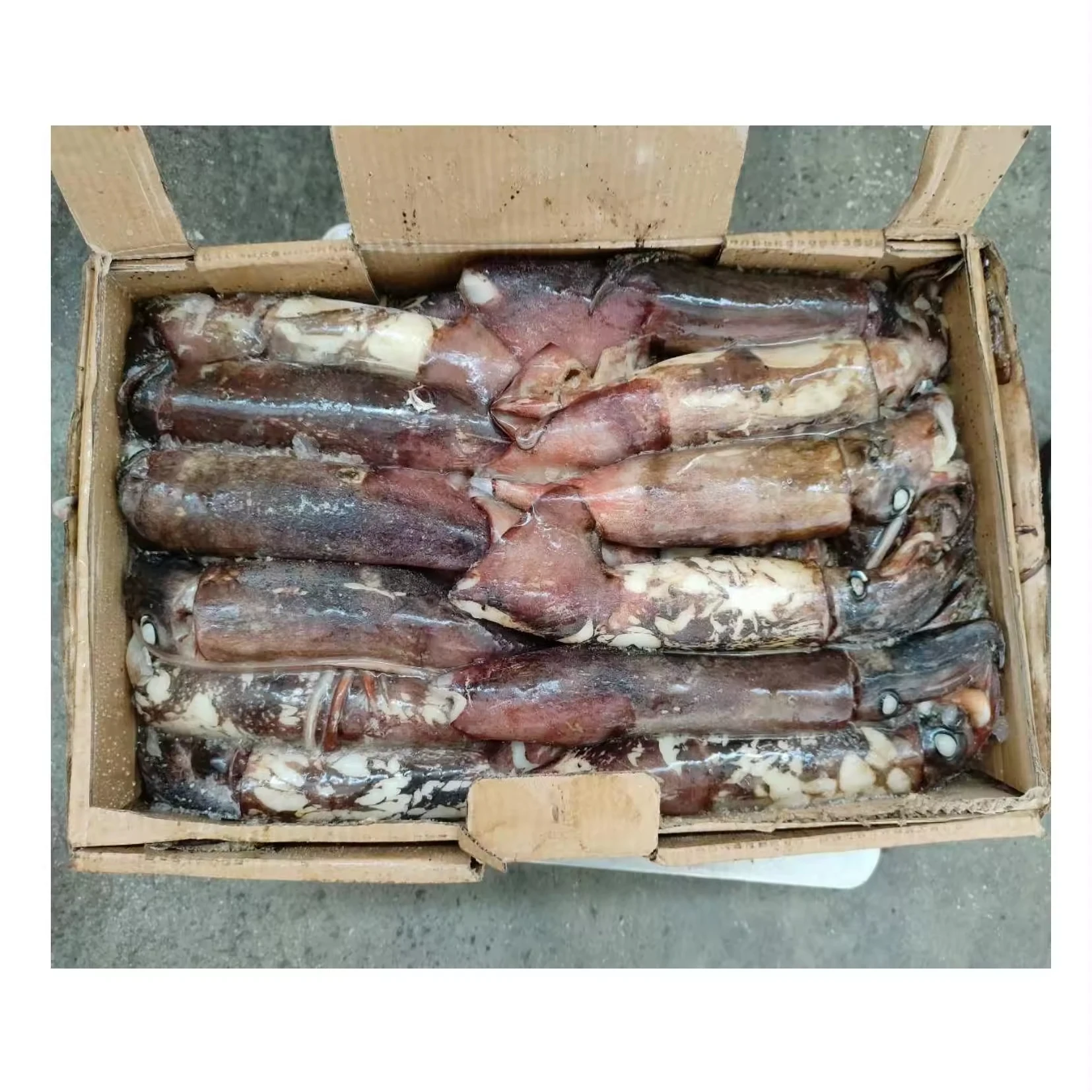 M58 индийский кальмар, Китай, замороженный Тихоокеанский кальмар, Южный Тихоокеанский кальмар, дешево