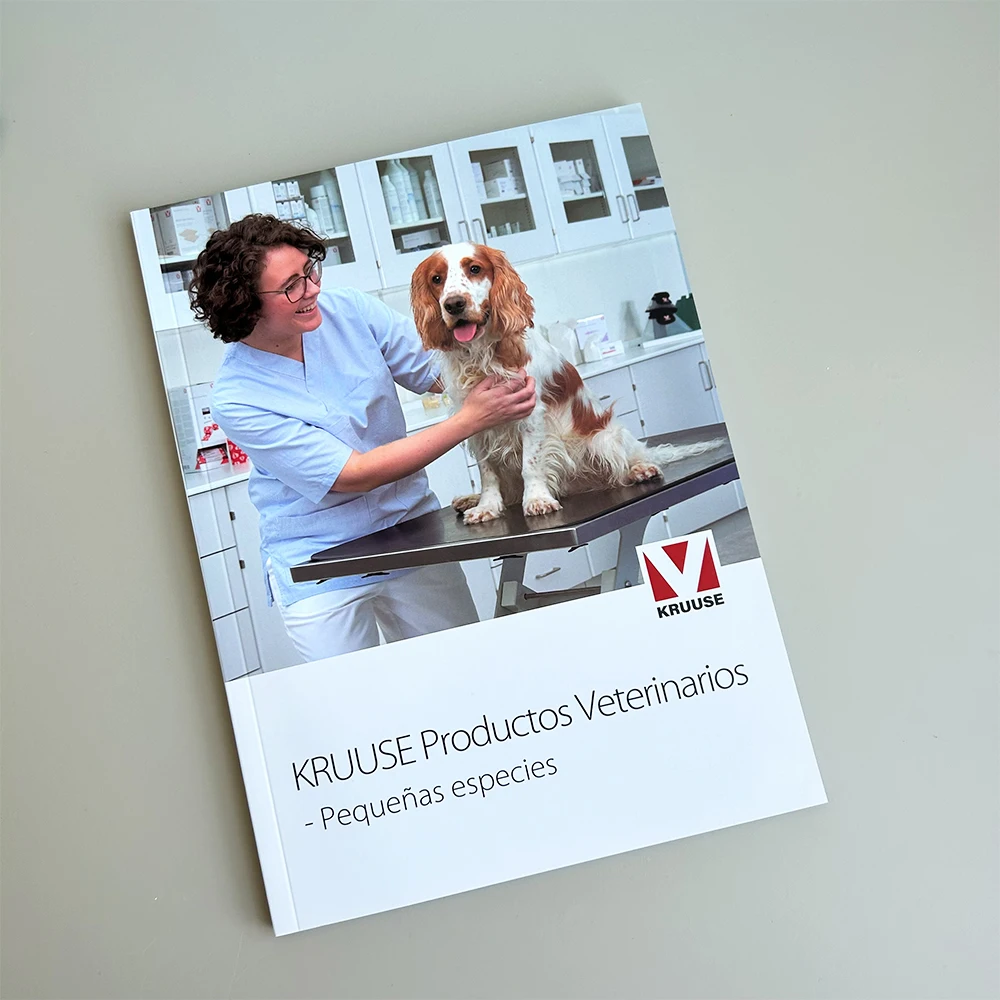 Wholesale Custom Book Printing Booklet Design digital catalogs printing digital brochure Magazine booklet maker