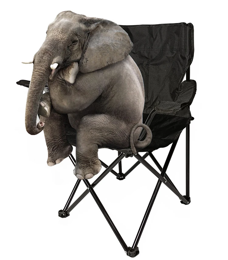 TOPIND Folding Camping Outdoor Chair