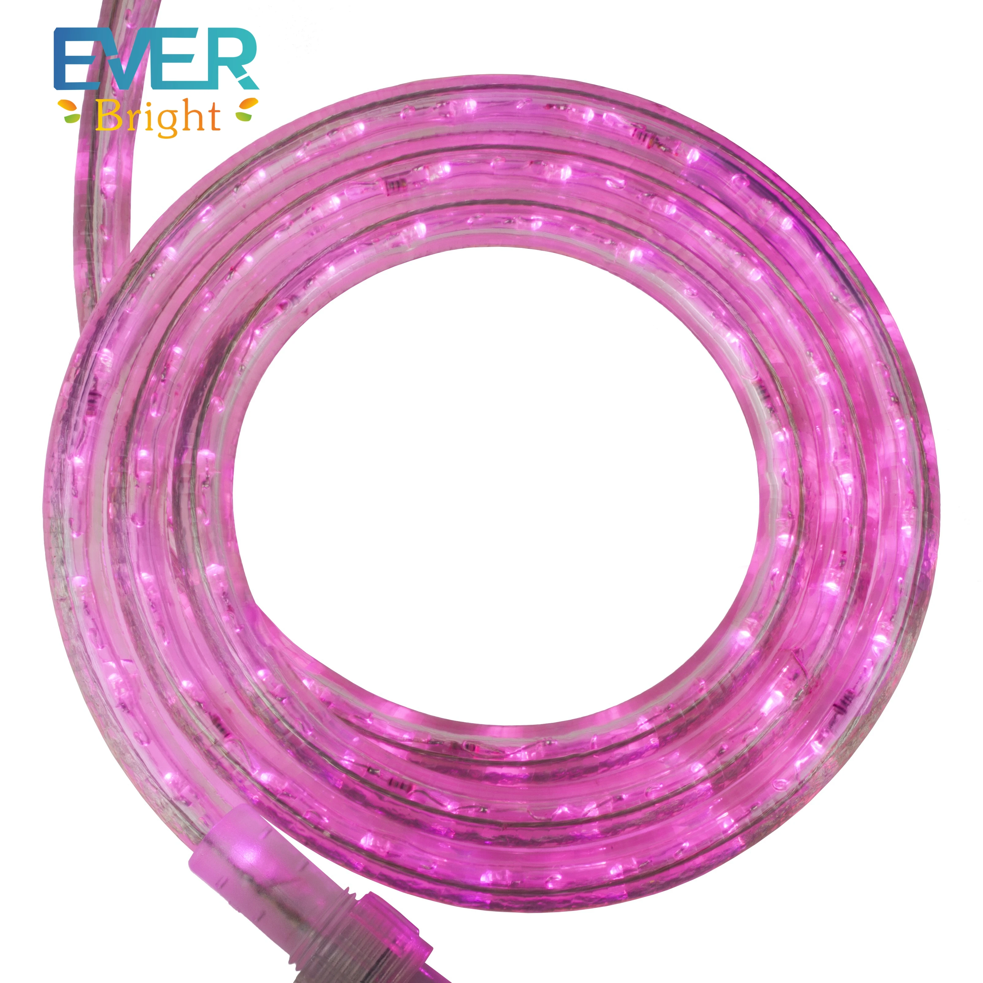 Creative decoration outdoor indoor Holidays and Festivals 220v led christmas light