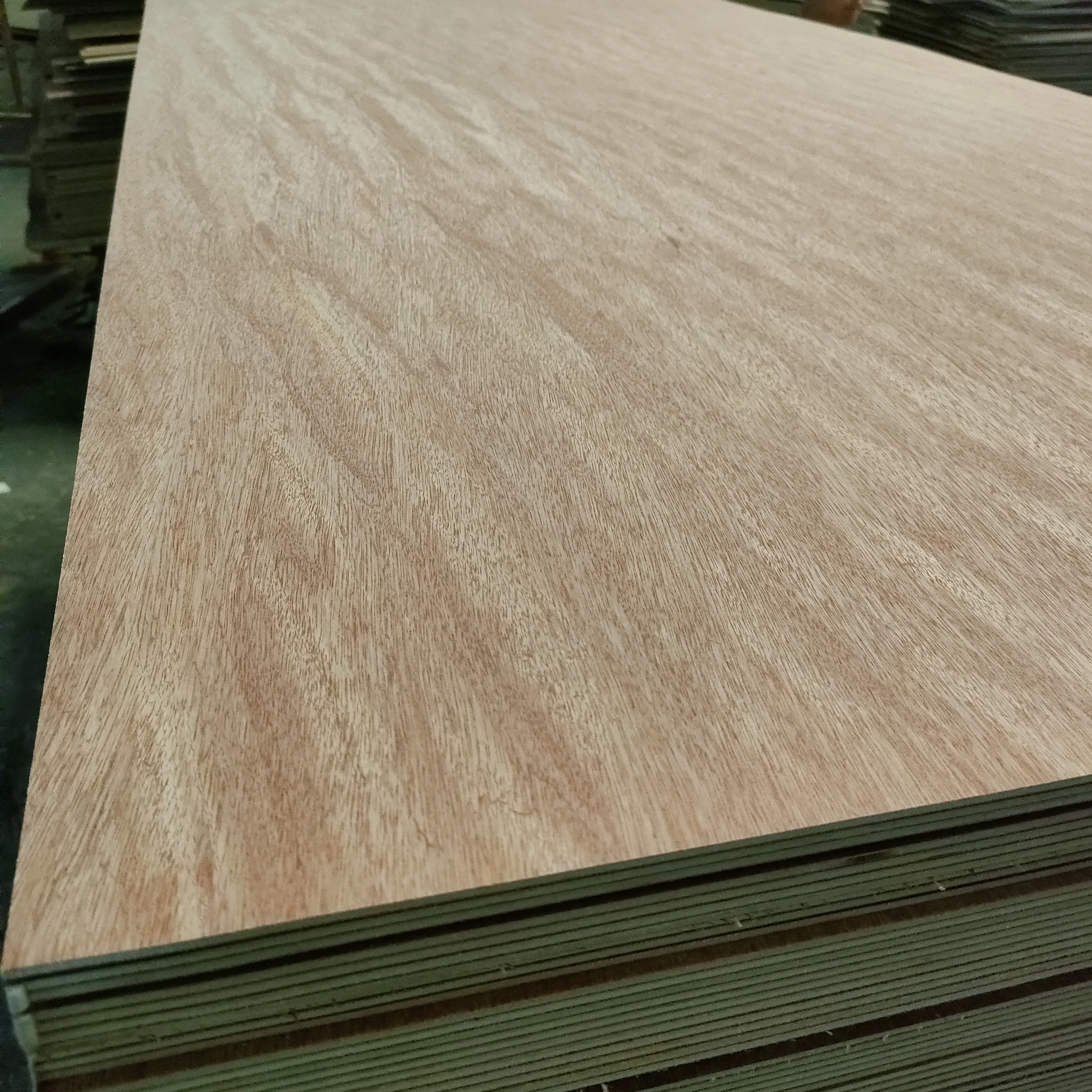 Linyi high quality 3-30mm E0/Phenolic glue full birch plywood manufacturer
