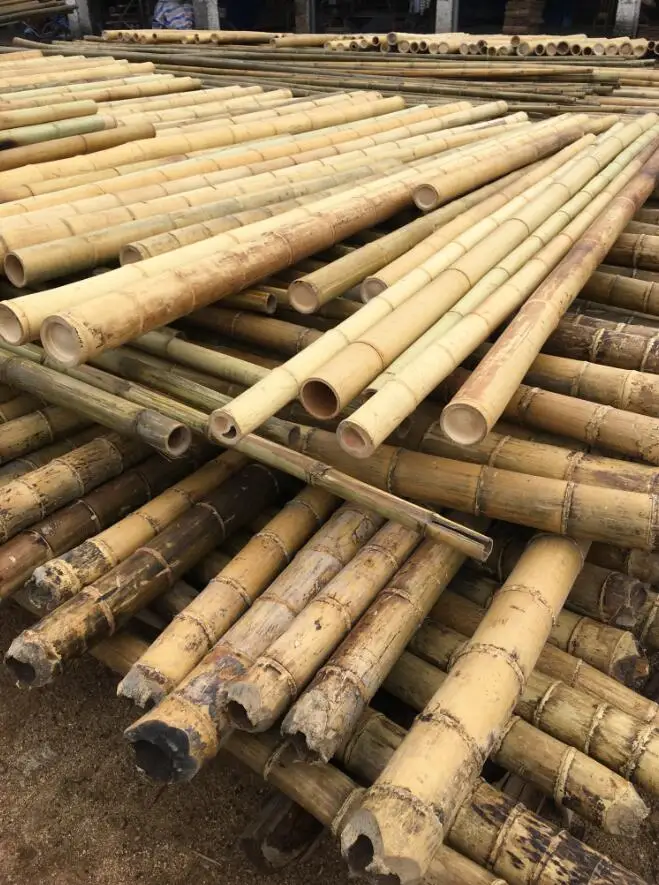 Moso bamboo poles for construction