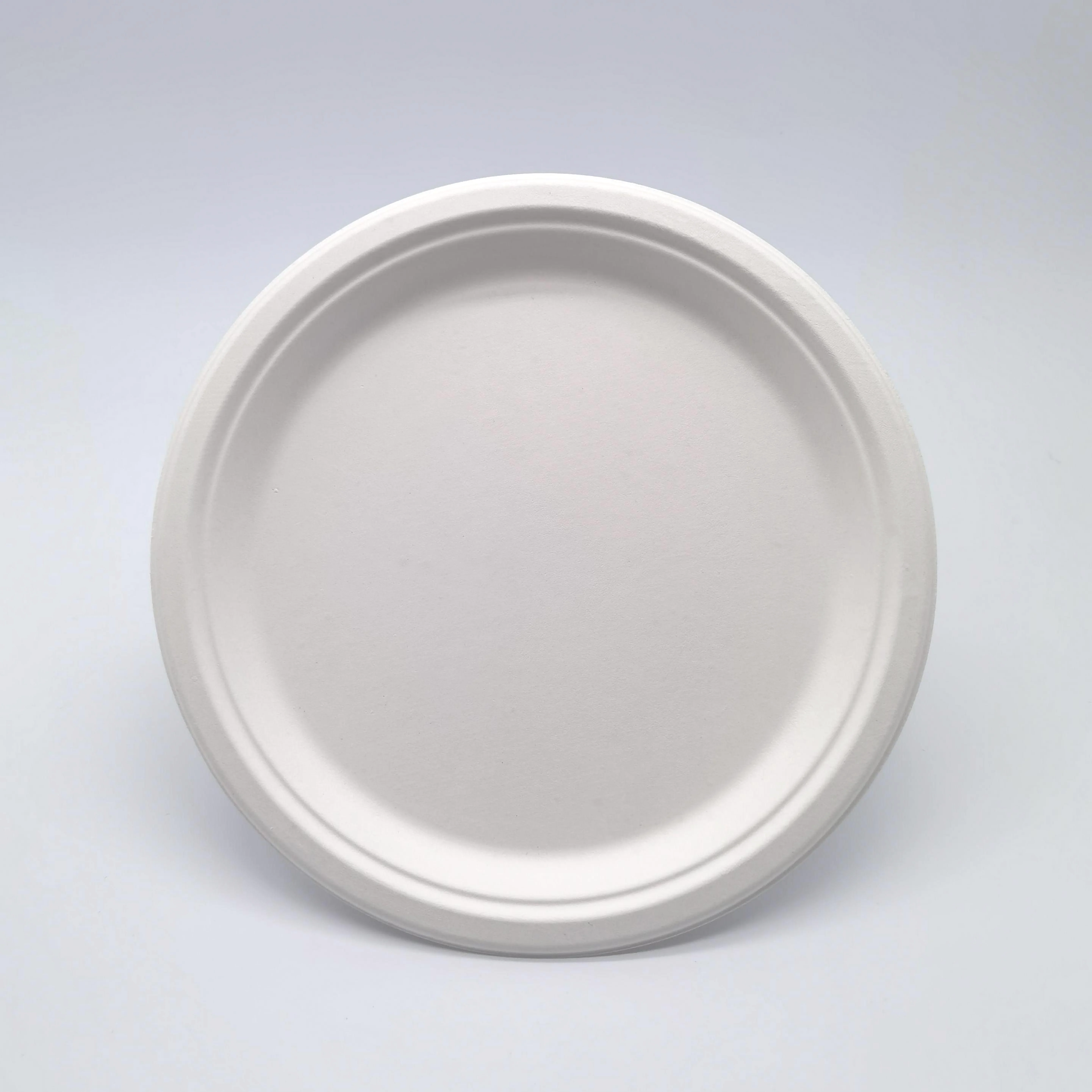 Party Supplies Sugarcane Fiber Disposable Tableware 9 Inch Eco Friendly Paper Plate