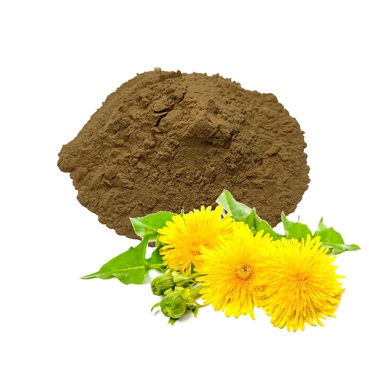 100% ISO Best quality factory oil concentrate plant fluid root dandelion extract