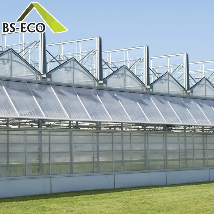 Multi Span Pc Sheet Greenhouse With Aquaponics Growing Systems