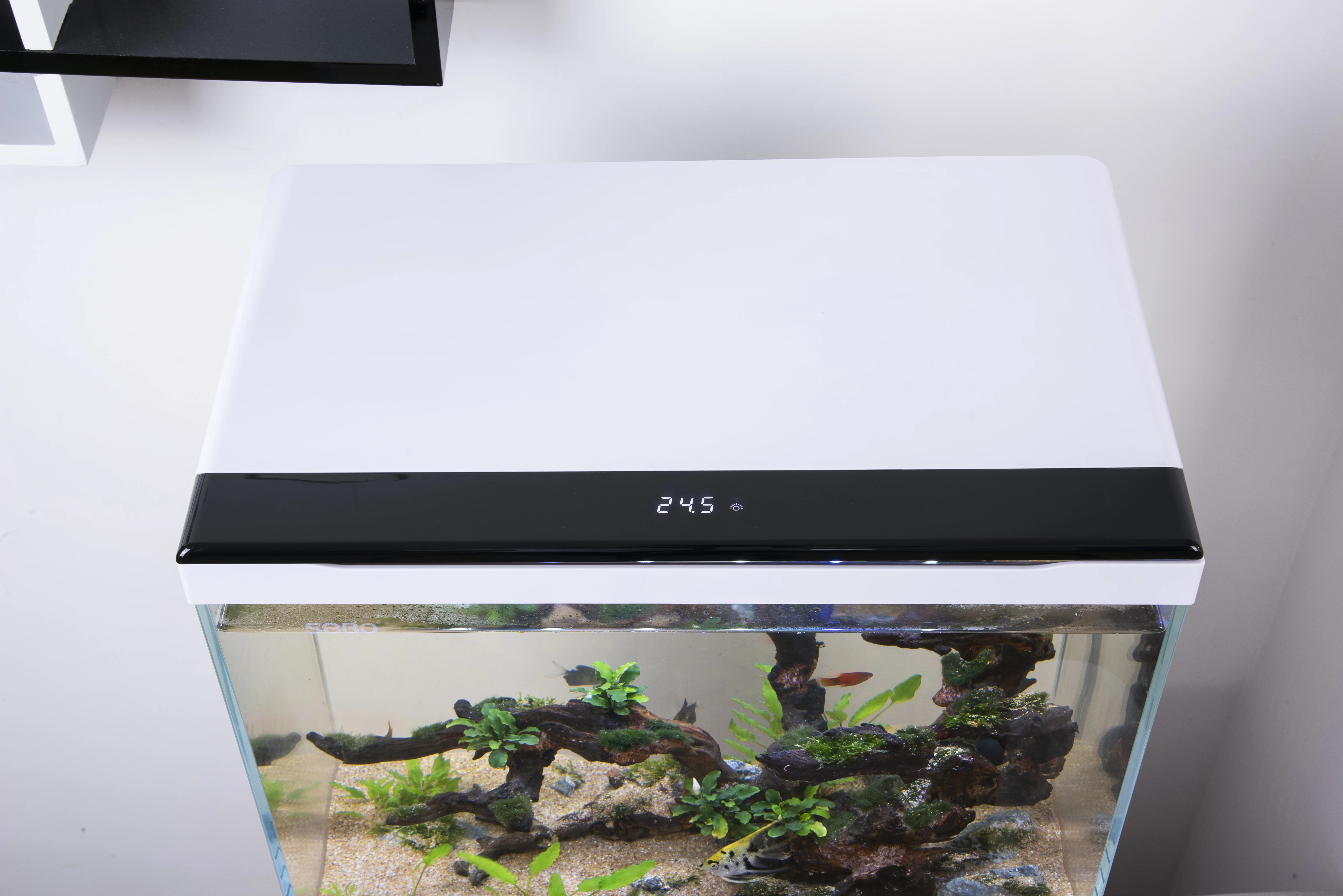 new arrival high clear ultra white aquarium fish tank with temperature display, top filtration, touch switch lighting system