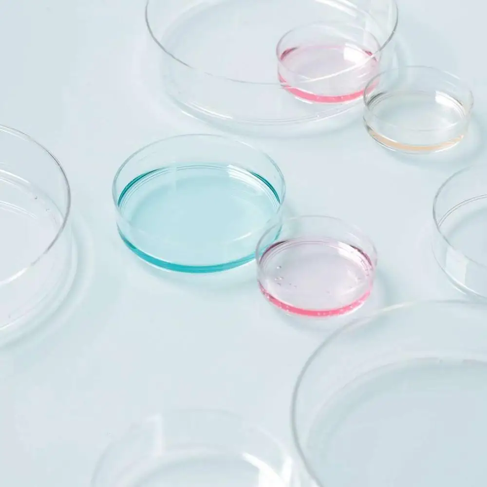 35 мм 60 мм 100 мм пластиковые бактерии культура Петри блюдо