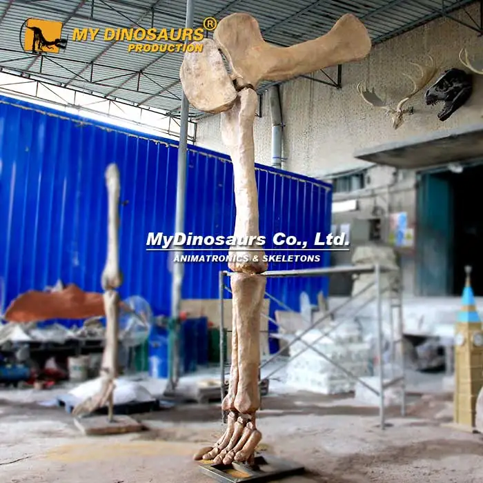 Z My Dino DS-043 торговый центр украшения скелет динозавра стеклопластиковый