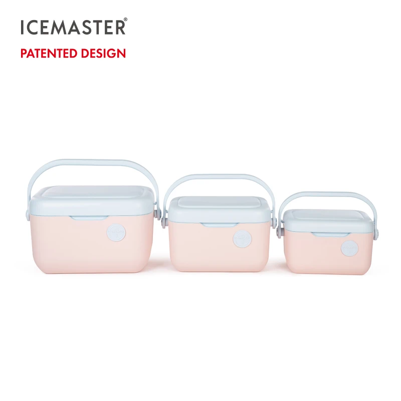 Новые поступления IceMaster 21QT удобный для переноски холодильная коробка жесткая мини-кулер на заказ