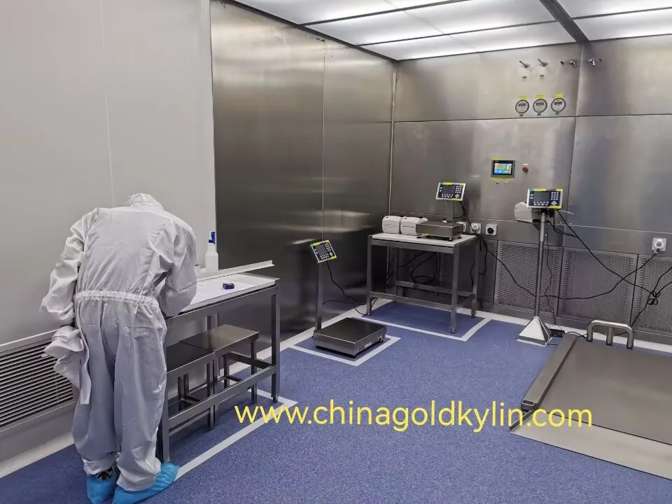 Customized Stainless Steel Ladder for Laboratory Furniture