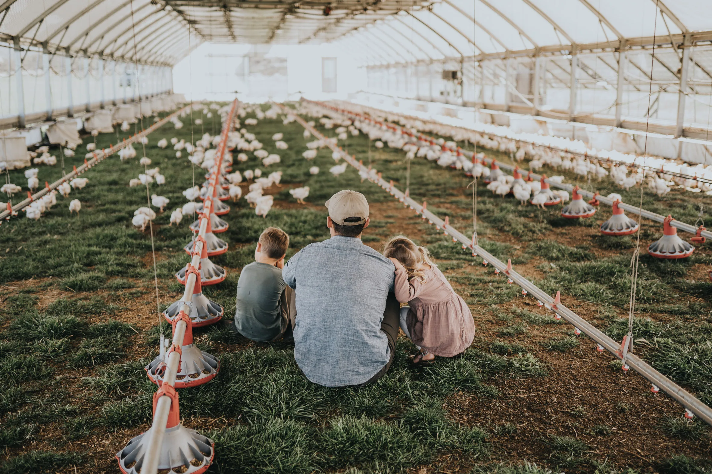 Mobile broiler House structures breeding greenhouse solar-powered robot chicken coop house poultry farm