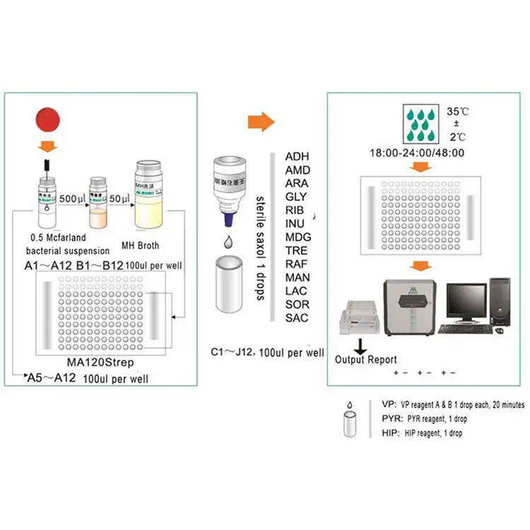 Chinese Well-Known Manufacturers Professional Sales Laboratory Reagent Diagnostic Test Kit
