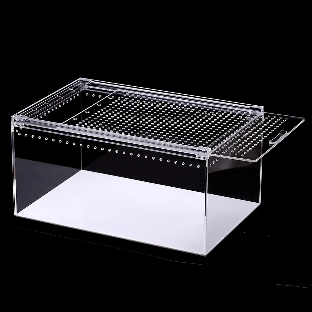 Custom Clear Rectangular Acrylic Reptile Boxes Create a Comfortable Environment for Animals