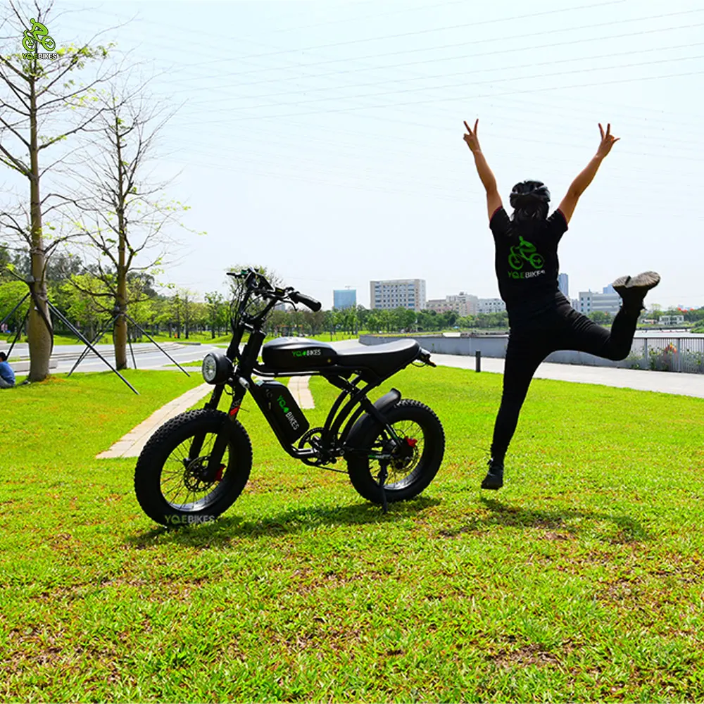 YQEBIKES Dropshipping Factory OEM Single/Dual Motor Ebike 2000W 50Ah Electric Mountain Super Cool Hybrid Bike Electric Bicycle