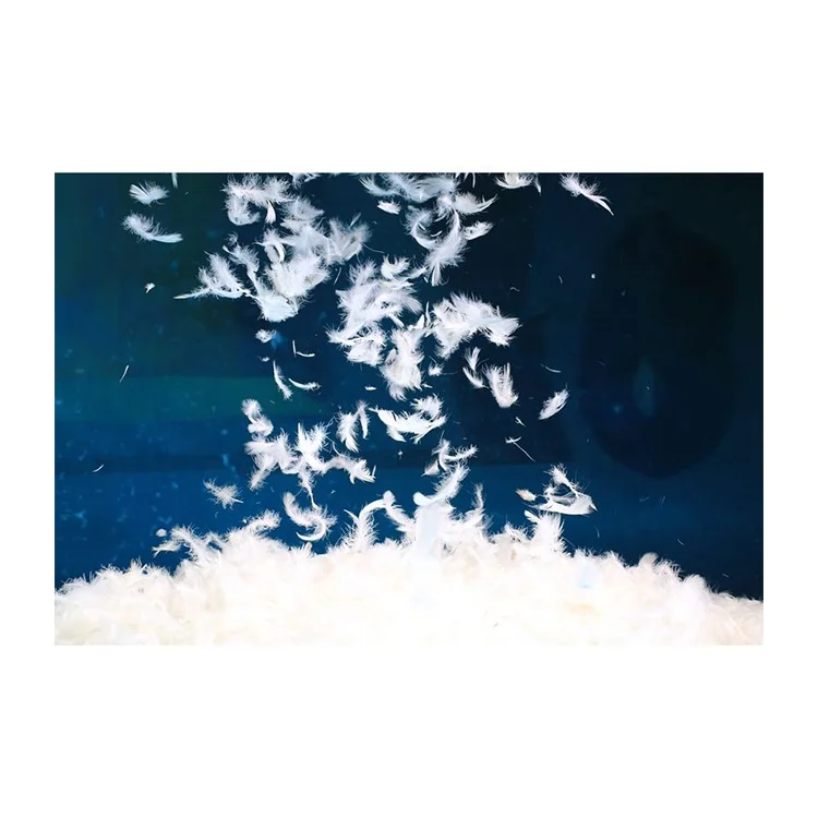
2021 Chinese manufacturer wholesale down stuffing white goose feather 2-4 cm 