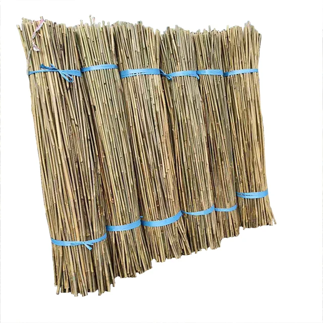 Желтые декоративные бамбуковые палочки tonkin, бамбуковые палочки для поддержки растений