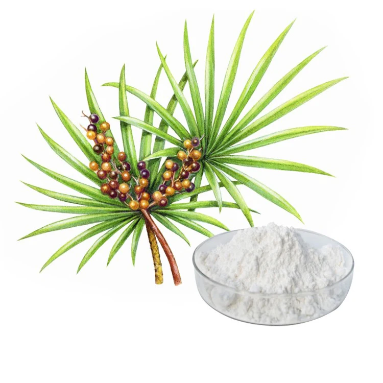 
Factory Supply Extract Palmetto Saw Saw Palmetto Extract 85% 