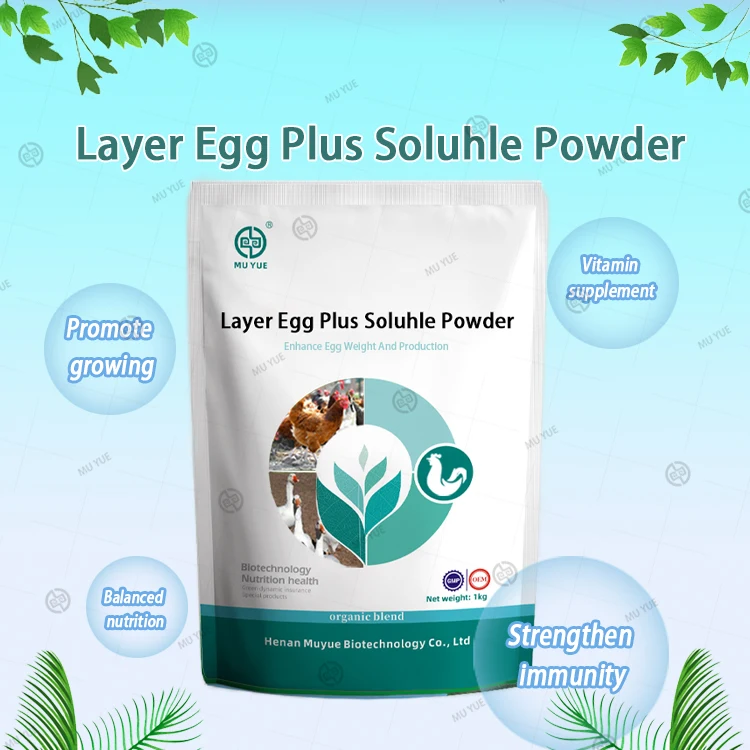 Improve chicken poultry egg production and fertilization rate lay more Eggs layer Feed additives egg plus vitamin powder booster
