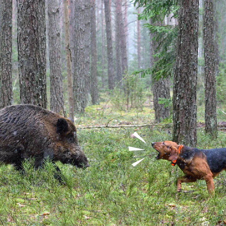 GPS Tracker for Dogs No Subscription Fees Suitable for All Dogs Smart Activity Tracker, Satellite Tracking with Unlimited Range