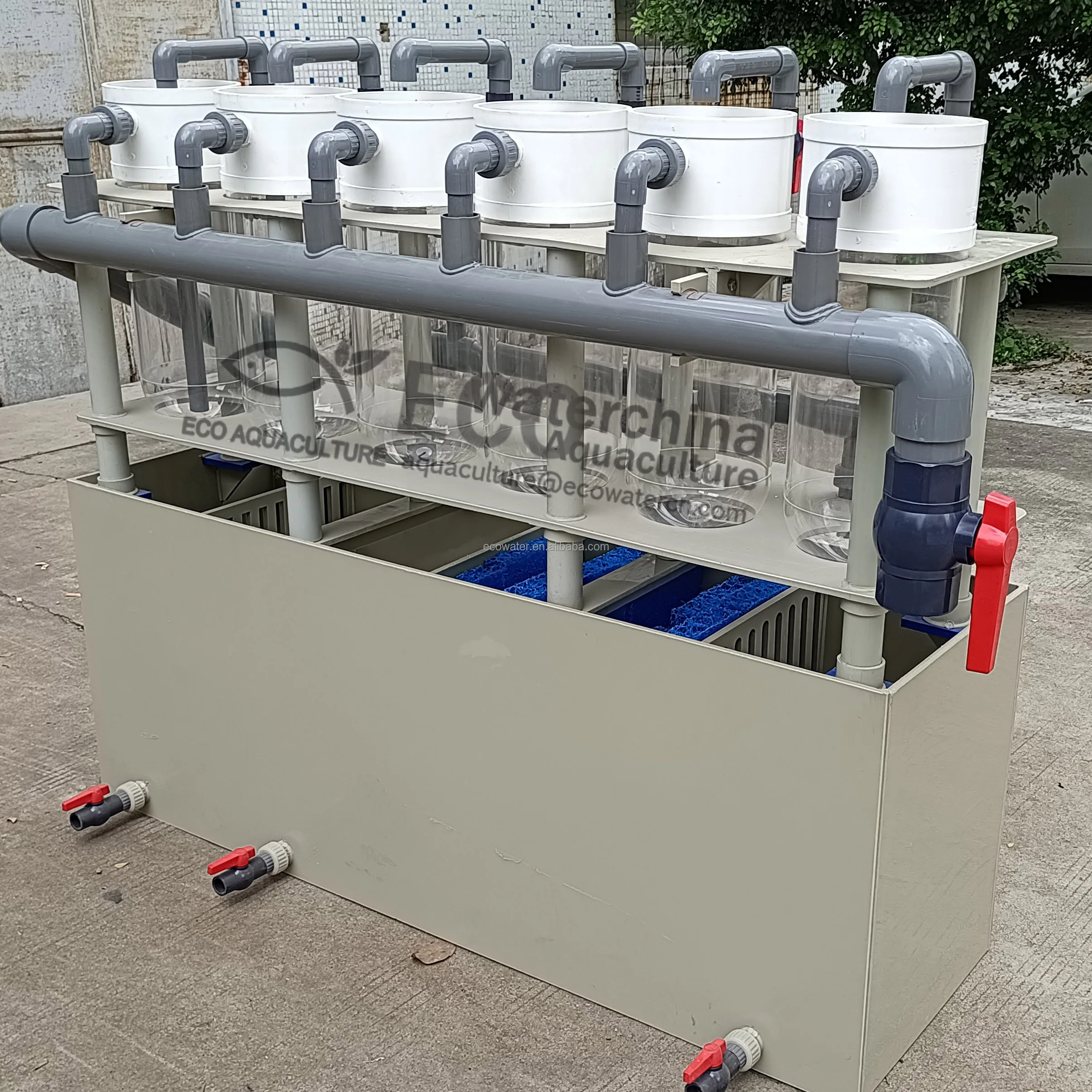 ECO Aquaculture acrylic glass Tilapia mossambica Eggs Incubator Fish Farm Incubator for Hatching Egg Fish