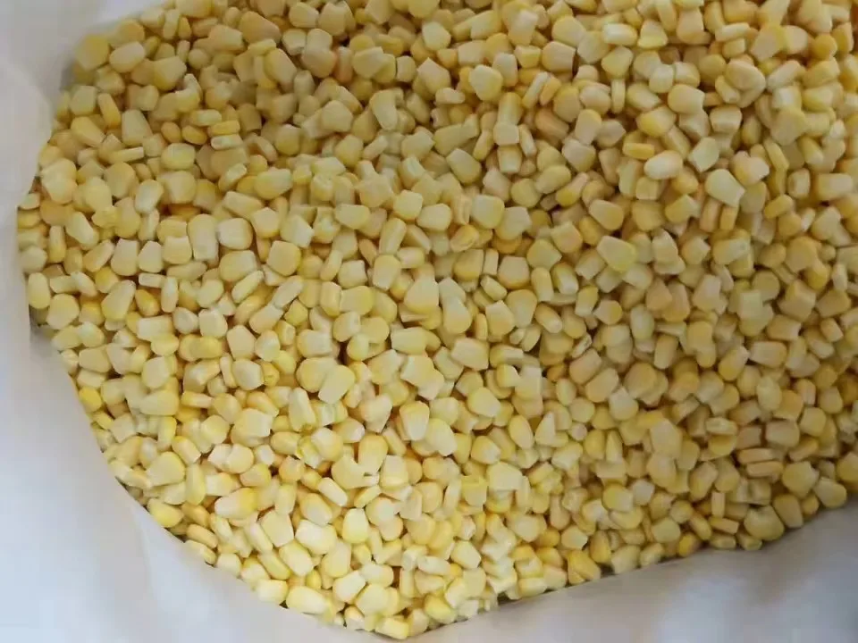 Wholesale  Dried Corn Grain  Dried Yellow Corn for Food   Frozen Corn Kernels