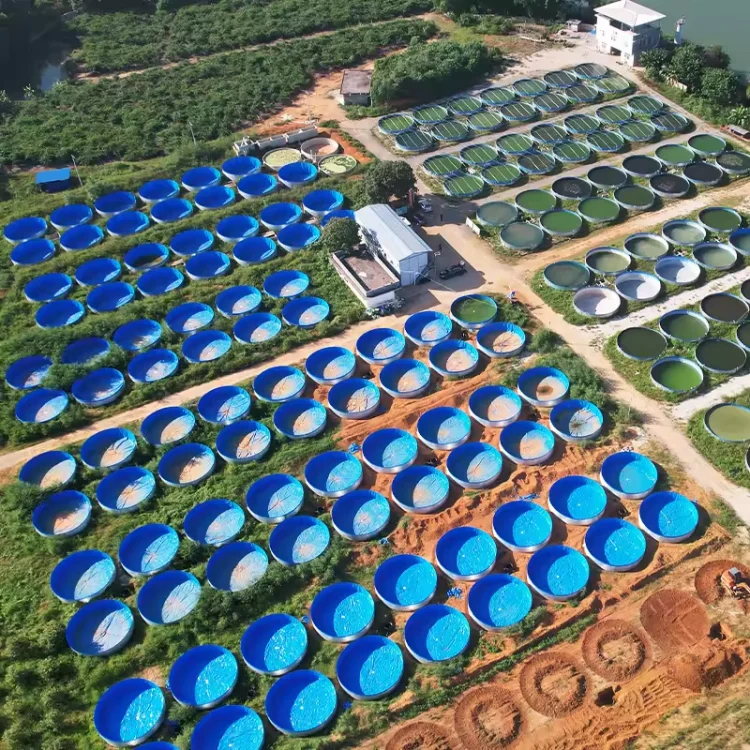 Round Hot Galvanized Steel Flexible Fish Farm Pond With Pvc  Liner Recirculating Aquaculture System Fish and Shrimp Pond