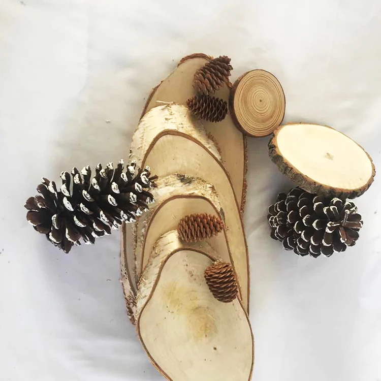 
Arts And Crafts Rustic Wood Log Fir Slices Table Decoration Cake Stand 