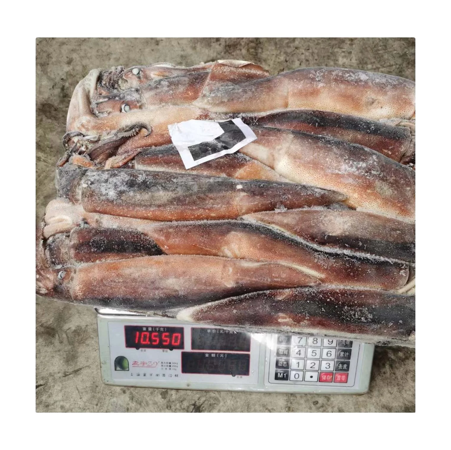 M10, экспорт, дешевые Замороженные Кальмары argentina illex, Китай, замороженные кальмары