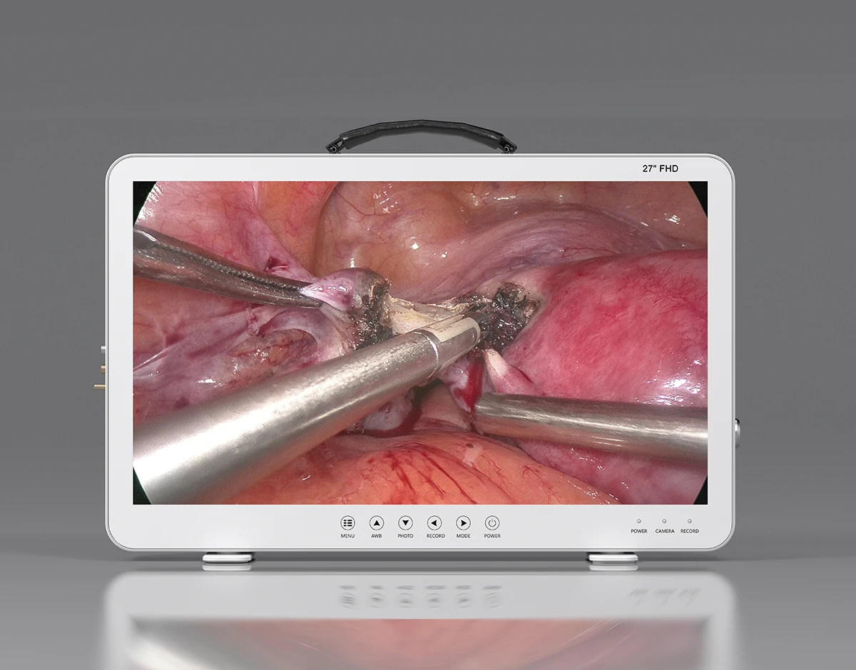 Cy927u 4k Veterinary 4 In 1 Medical All In One Full Hd Endoscopy Camera With 27/24/22/19 Inch Medical Endoscopy Monitor