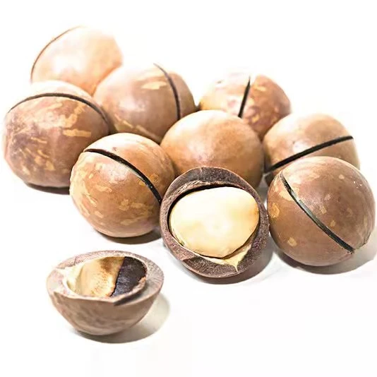 2021 лучшие орехи макадамии, сырые соленые жареные здоровые продукты, макадамия в скорлупе