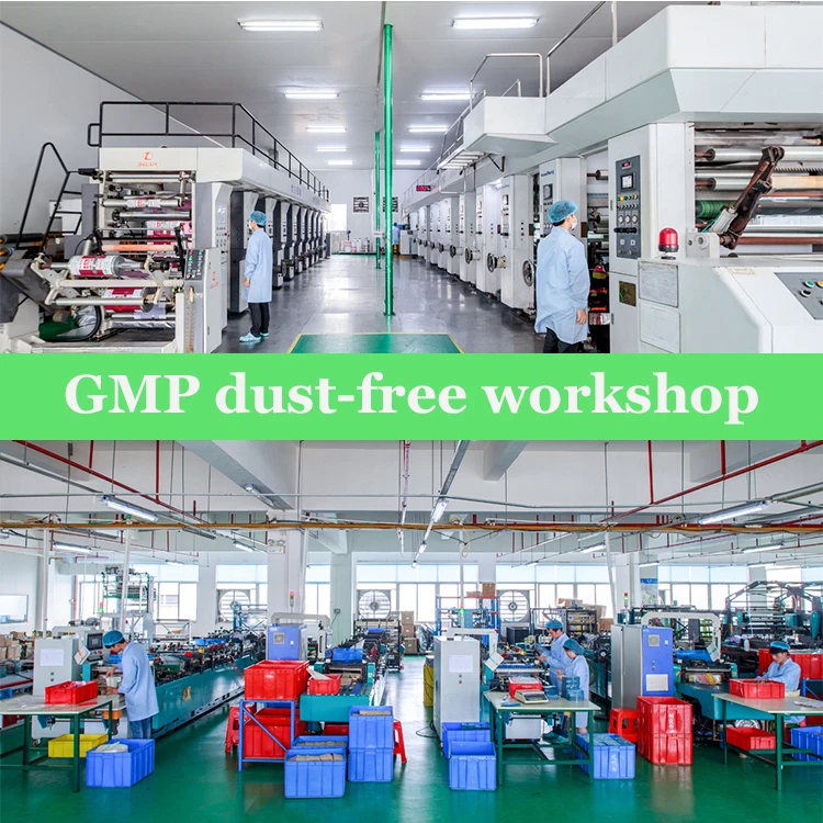 Custom Print 5g Food Grade Biodegradable Pillow Shape Pouch Back Seal Aluminum Foil Plastic Package Dry Spices Packaging Bags