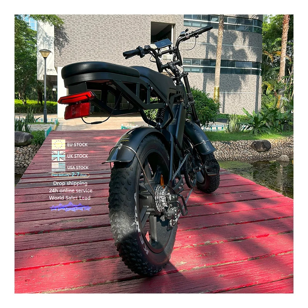 fat bike V20 NL warehouse 20x4.0  wheel 250w motor 36v 11.6ah e bike mountain bike cheap off road