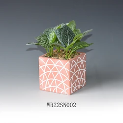 Ceramic Sea Shell Conch Fish Porcelain Flower Pot Ceramic Molds Succulent Plants Pot