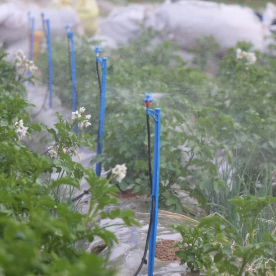 
Alibaba china garden supplier standing type mini sprinkler set 