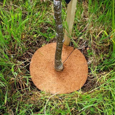 Coir Mulch Mat натуральное экологически чистое Кокосовое волокно Tree Ring