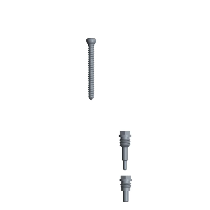 Competitive Price CE Marked  PFNA Femoral and  Reconstructional Intramedullary Nail