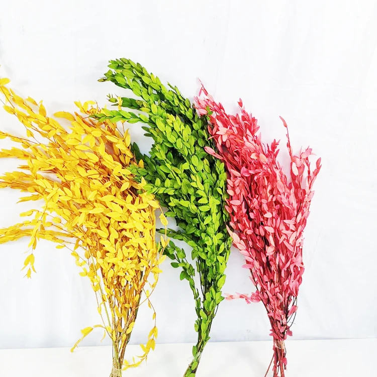Summer Flora  hot sale new product long lasting Greenery Hanging Eucalyptus leaves preserved plants