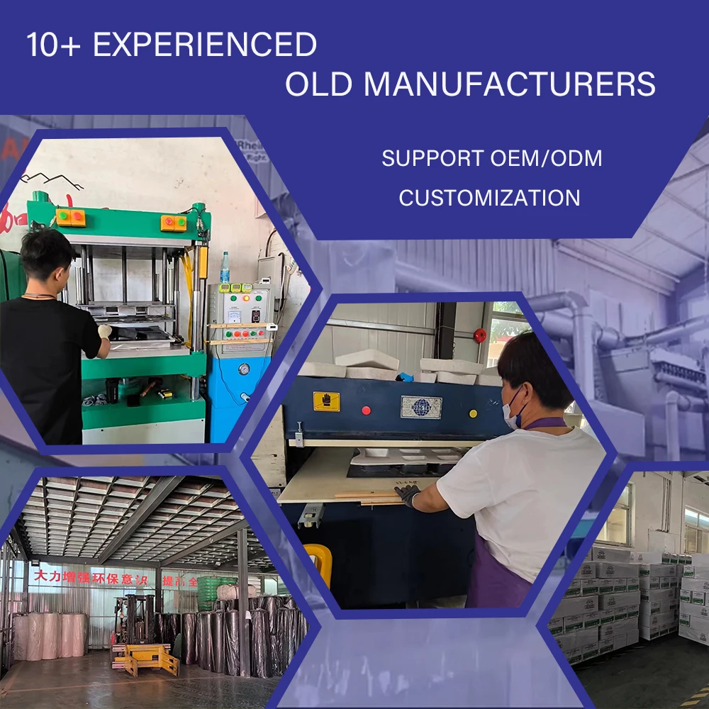 Custom Design Auto Detailing Foam Polishing Pads 3inch/ 5inch/ 6inch Buffing Pads for Car Bodies