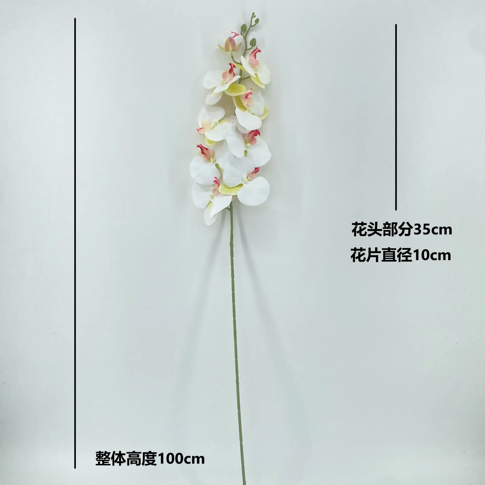 Wholesale Single Stem Real Touch White Orchid Flowers Artificial Phalaenopsis Blue Orchids Artificial Flower