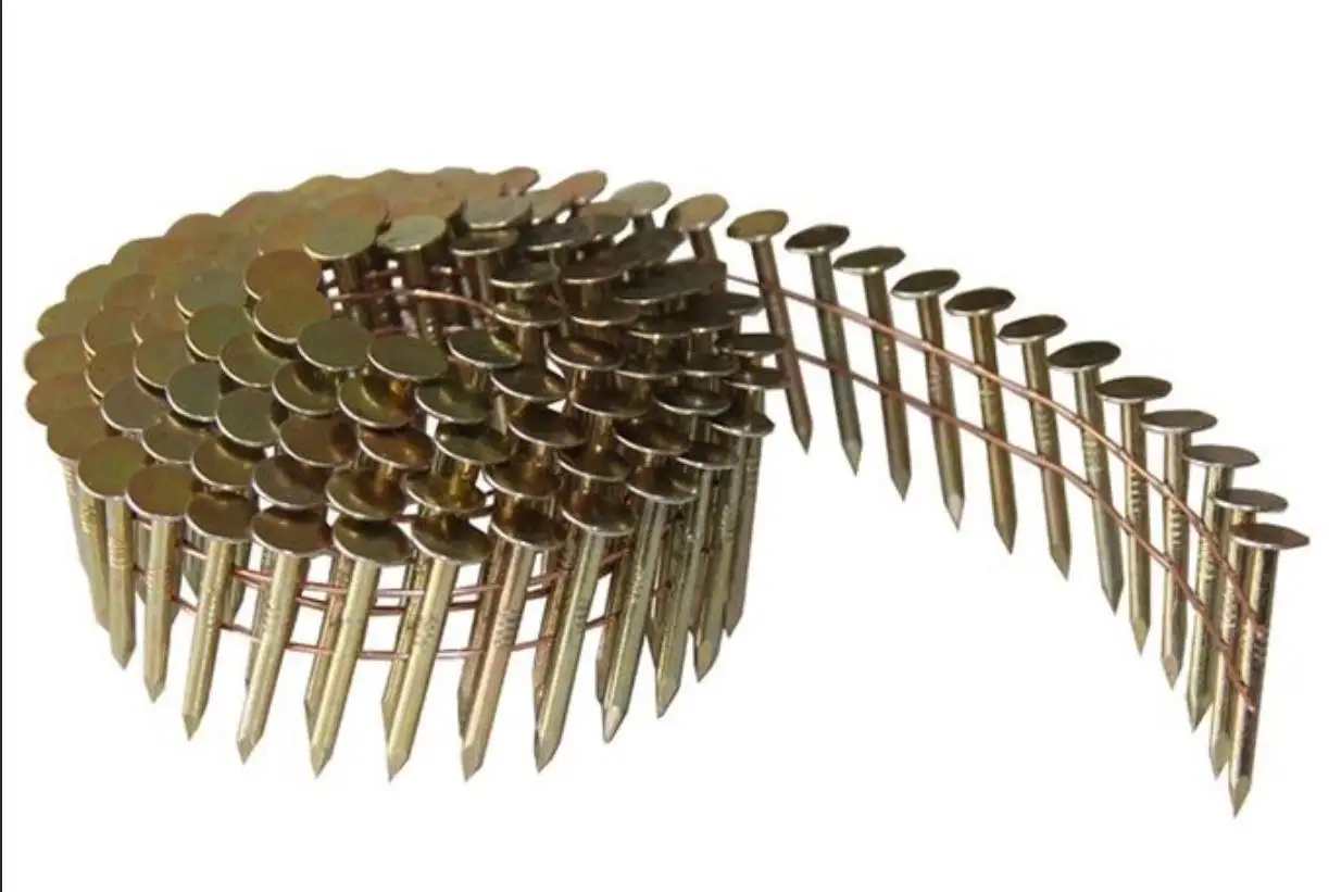 coil roofing nails high quality factory supply electro-galvanized plastic top umbrella roofing nails hot sale hot dipped