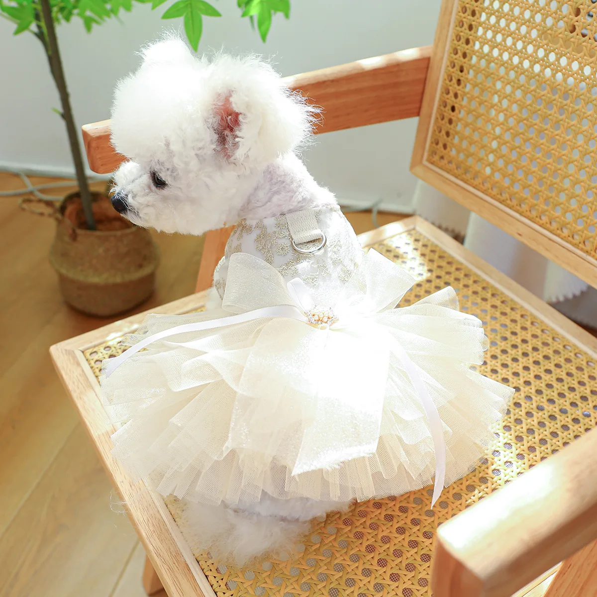 Wholesale Dog Dress Luxury Skirt Pet Clothes Spring Summer 2024 Designer Pet Clothes Luxury