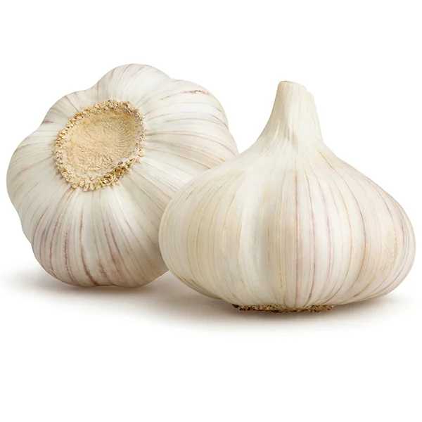 Factory direct fresh wholesale pure white garlic can be pickled processed garlic