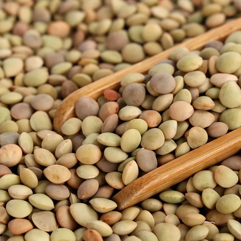 
Natural growth Chinese lentils 15% moisture bulk dried lentils 